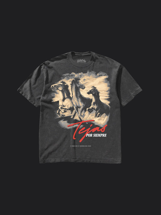 CABALLOS DE TEJAS - TEE (DGRY)